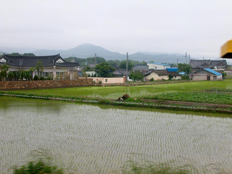 DSCN7676.jpg - My favorite rice paddy